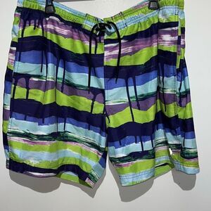 Reel Legends Men's Multicolor Performance Outfitters Swim Board Shorts XXL